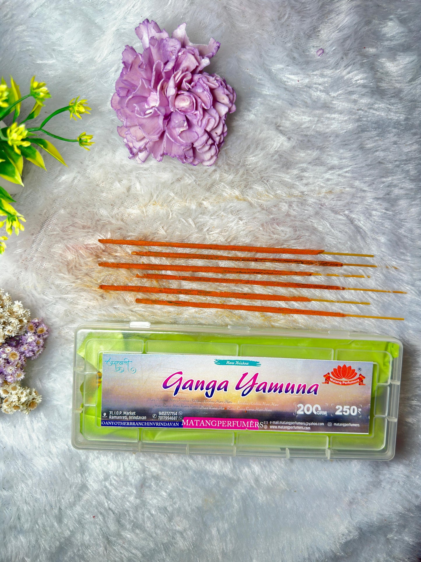 Ganga Yamuna